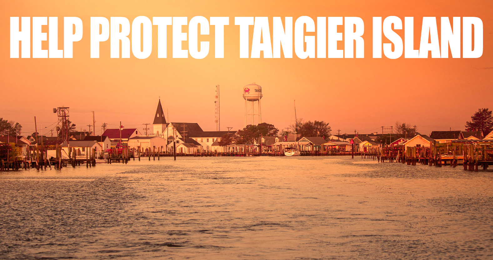 Protect FB Cover