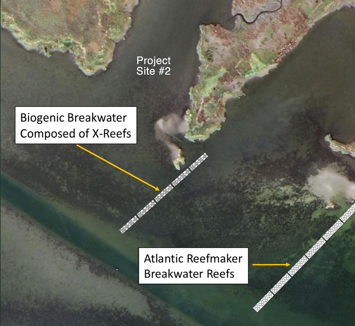 tangier-page-site2