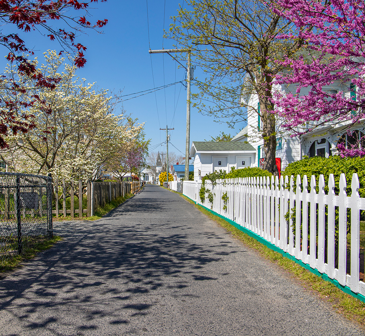 tangier-picket-fence